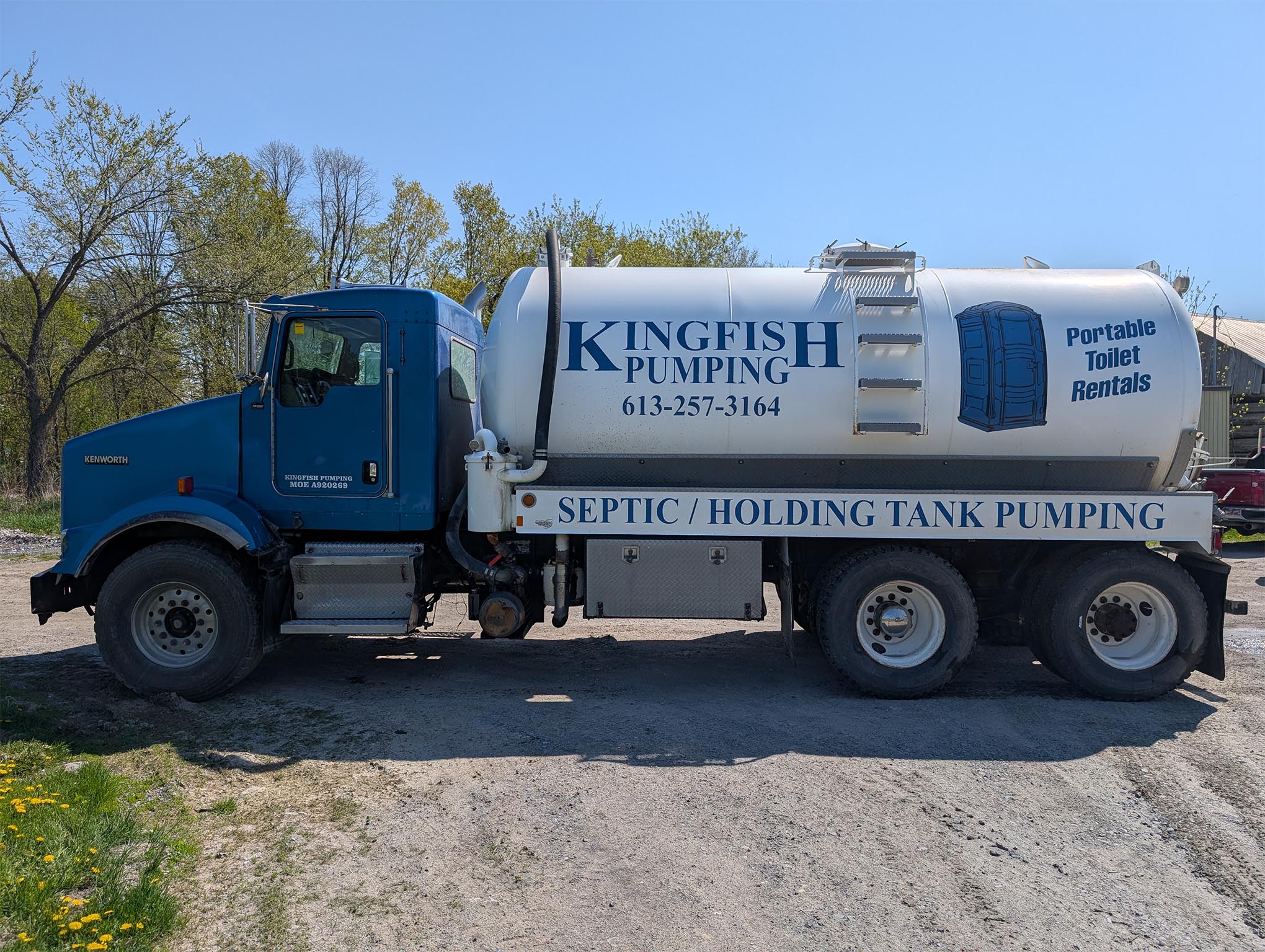 Kingfish 1 compressed_0000_Kingfish 1