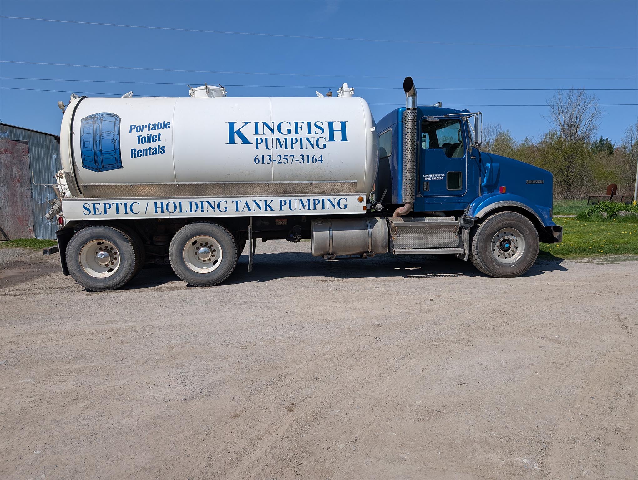 Kingfish 1 compressed_0001_Kingfish 2